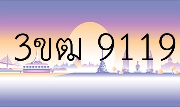 3ขฒ 9119